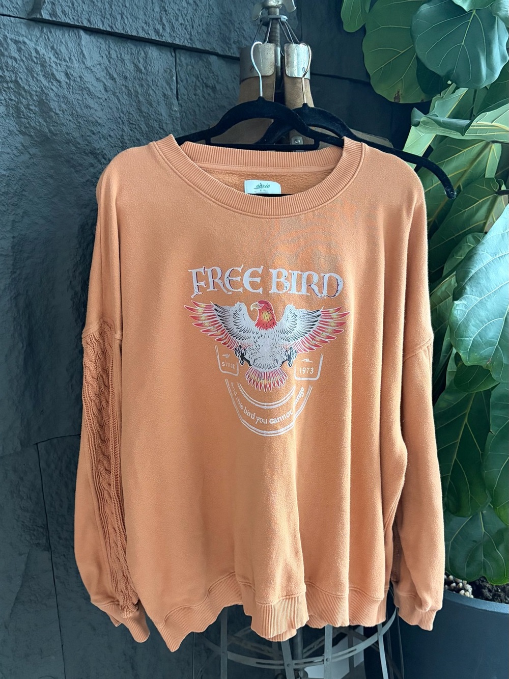 aerie Rust Orange 'Free Bird' Graphic Sweatshirt